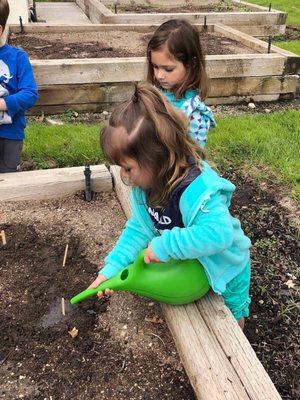 Tending the class garden.