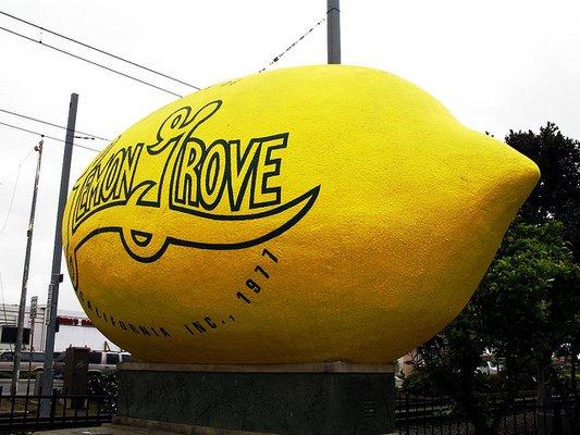 Lemon Grove lemon.