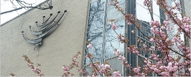 The front of Mt. Sinai shul in the spring.