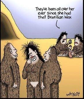 Some waxing humor!