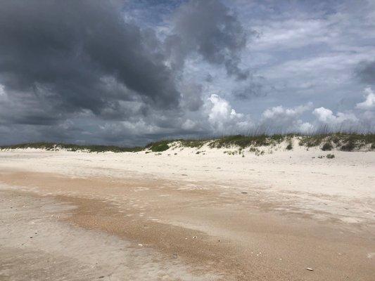 Beach for shells