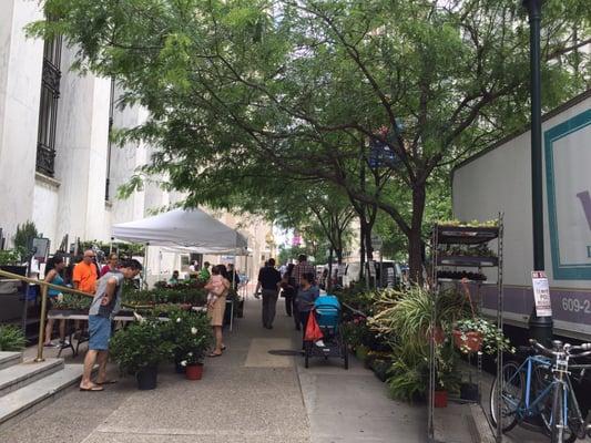 Yes, there're farmer's markets in philly! 06.02.16