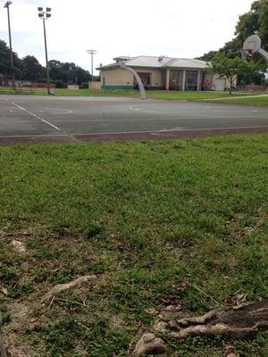 2 basketball courts