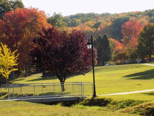 Walking Paths