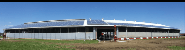 540 Panel Array on a Dairy Farm