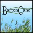 Barton Cane