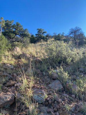 Sun Mountain Trail