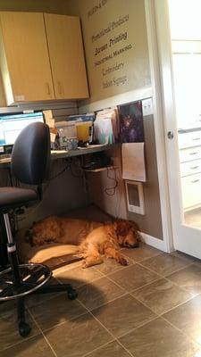 Noah - our receptionist - asleep on the job.