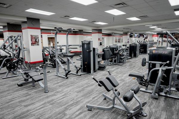 We offer a full set of state-of-the-art equipment for your workouts.