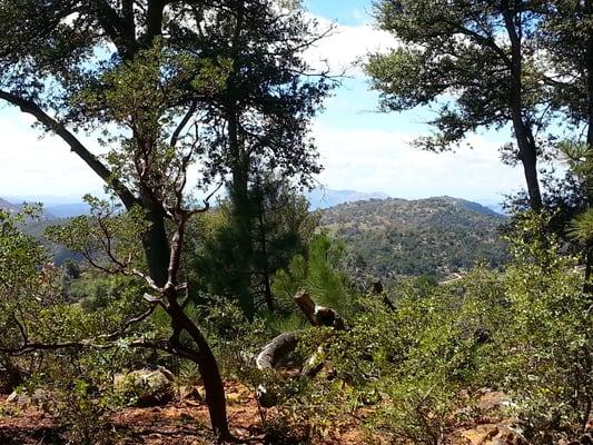 View off the back porch, where you can sit and take in the sounds of nature and peace while taking in the great scenery.