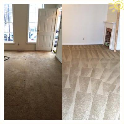 Expert Upholstery Carpet Cleaning