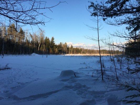 Bangor Land Trust