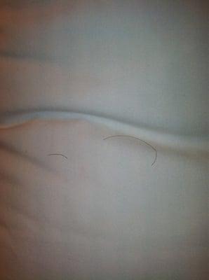 I moved a pillow and there was hairs all over it. Again I just pulled the sheets back. WTF?