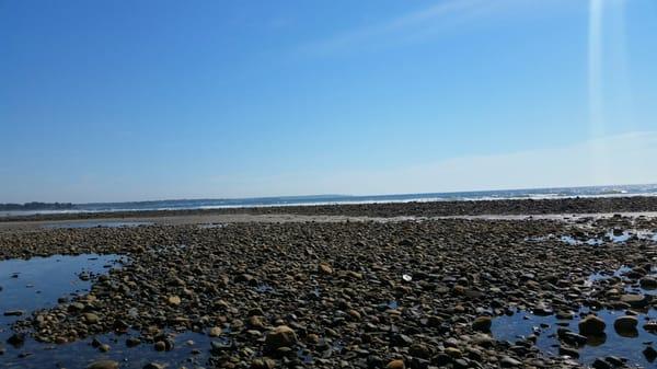 Laudholm Beach on a perfect summer day!