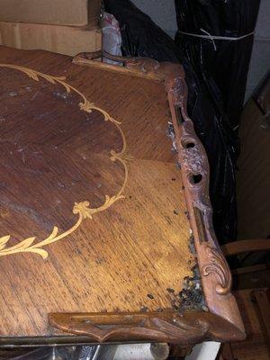 Beautiful table now destroyed by droppings, urine, and mold