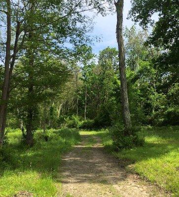 In addition to the acreage on site, boarders have access to miles and miles of beautiful trails right off the property.