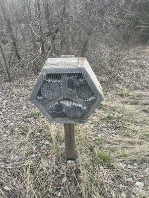 Someone tell me what animal/insect these house - couple along the trails!