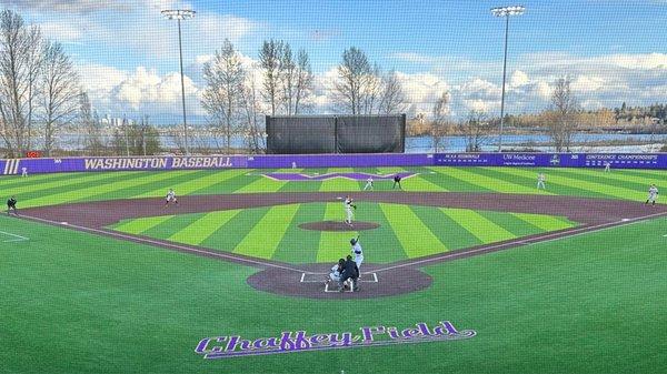 University of Washington Baseball