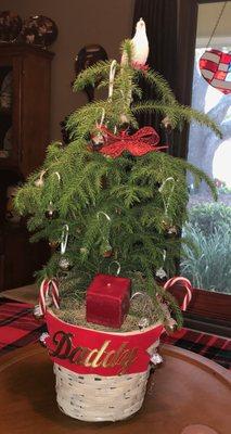 Christmas live tree with aroma therapy candle and bells for Daddy's gravesite