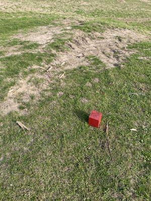 17 ladies tee with backhoes damage