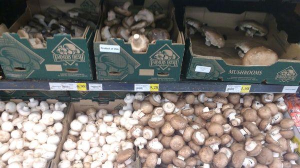 mushrooms mushrooms