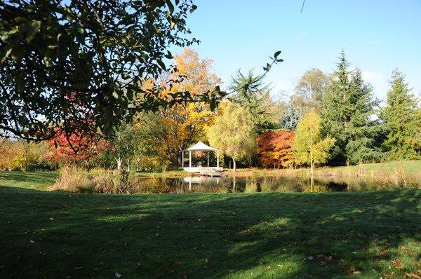 Gazebo and Pond