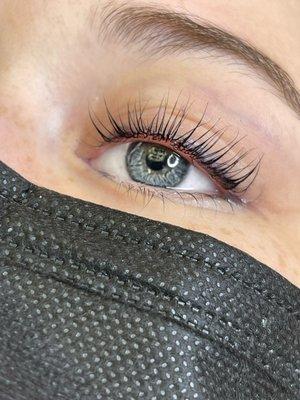 Lash Lift & Tint