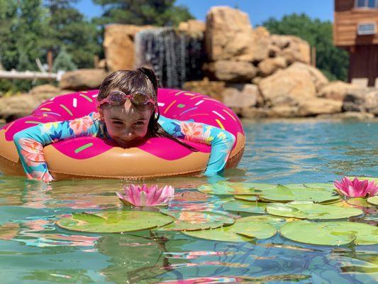 Natural Lagoon - 100% Chemical Free. What a beautiful water Lilly