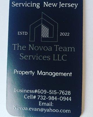 The Novoa Team Services