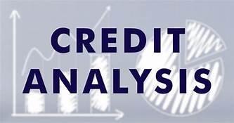 Persona & Business Credit Analysis