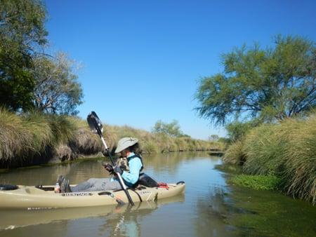 Arroyo Environmental Consultants