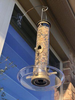 This feeder has brought many birds to the yard (DAILY)!