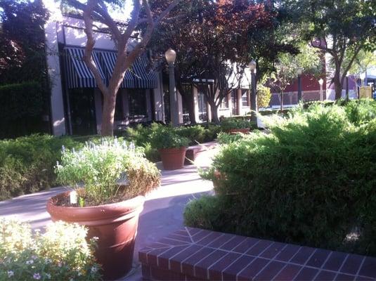 Landscape and benches