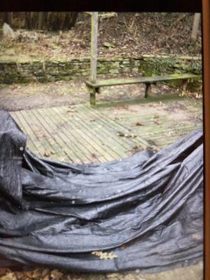 Dog poop covering backyard because neighbor refuses to clean it up