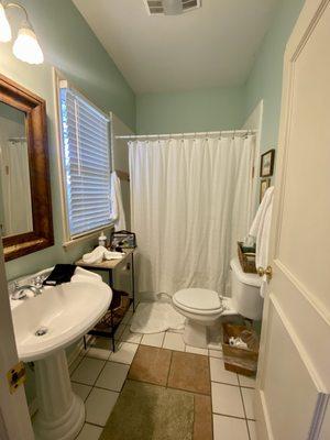 Bathroom in "Yesteryear". Hook on back of door, hook by shower, & towel bar.