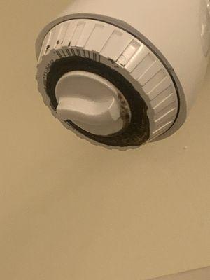 Mold on both shower heads