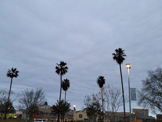 Looking west - a good place for viewing sunsets with the wide open sky and many palm trees.