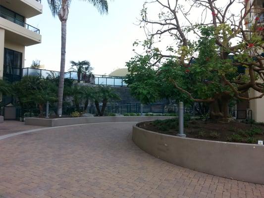 Circular driveway looking up to waterfall and pool deck.