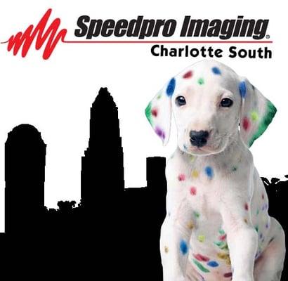 SpeedPro Imaging