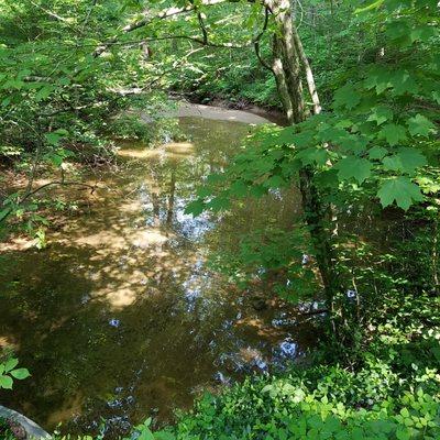 pond where the creek runs under the trail