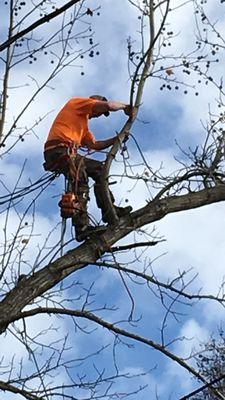 Zachs Tree Care