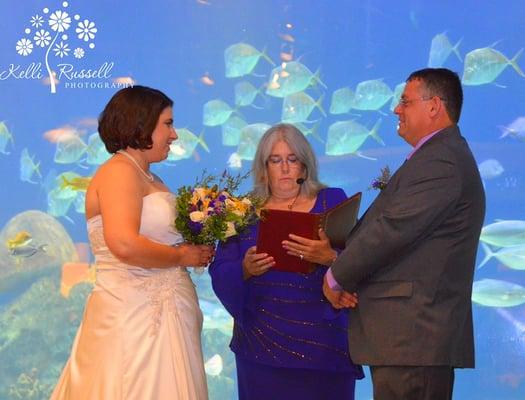 There was nothing fishy about their love!  The ceremony was in front of the shark tank at the Greensboro Science Center!