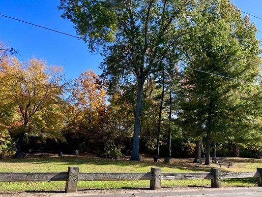 Park on Garfield st