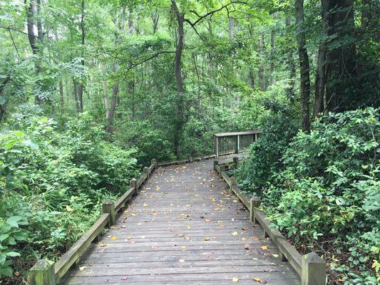 beautiful path through doko meadows park