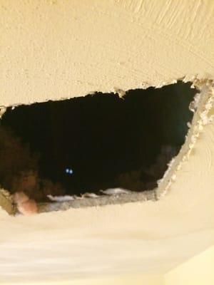 One of the rats living in the giant hole maintenance left in my ceiling.