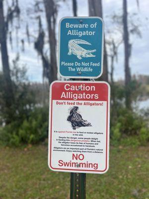 Beware of the alligators