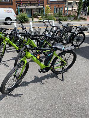 Provincetown Bike Rentals