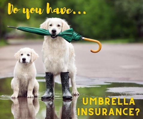 Umbrella Insurance