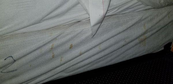 Gross stains on bed