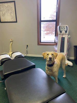 Dogtor Murphy is ready to go!